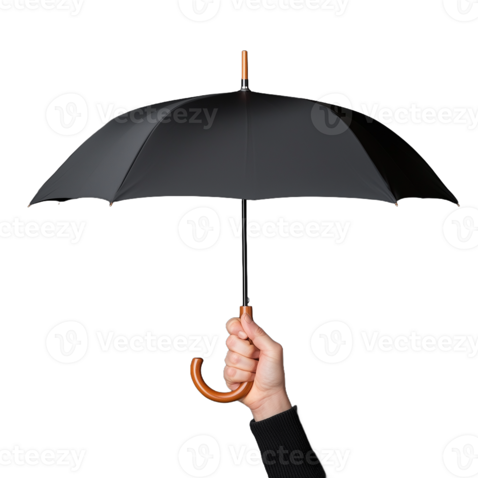 Hand holding open black umbrella on transparent background png