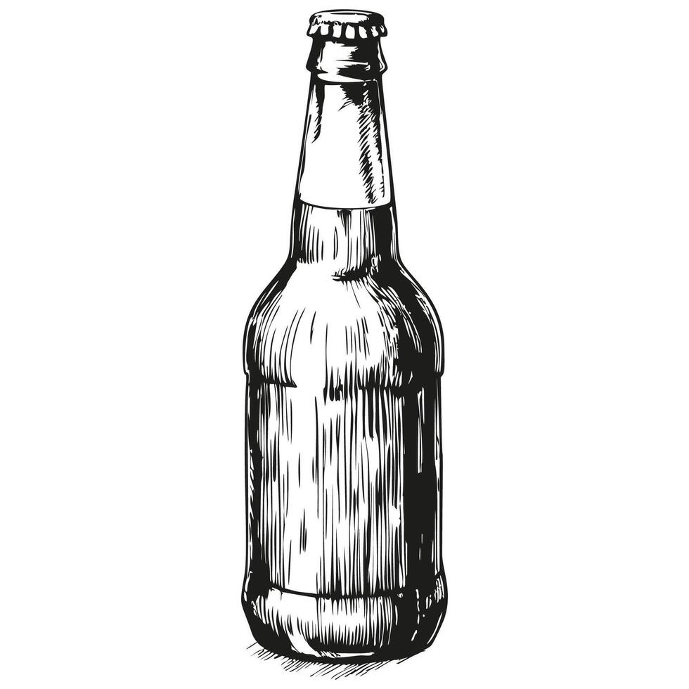 Beer bottle on white background vector