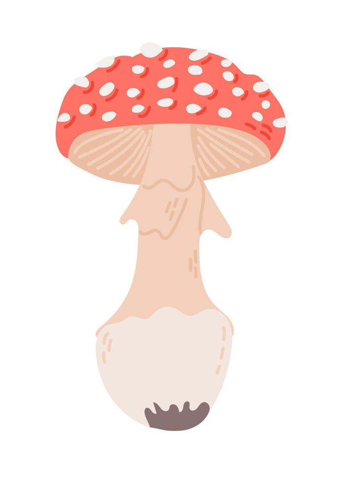 Cute hand drawn fly agaric fungus in flat style. Spooky design for Halloween isolated on white background. Poisonous mushroom. Good for decoration, stickers, logo vector