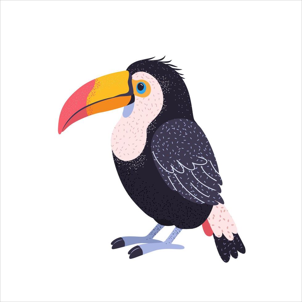 Cute toucan bird for childish prints, happy birthday and party invitation designs. Textured hand drawn clip art isolated on a white background. A funny flat bird for kids. vector