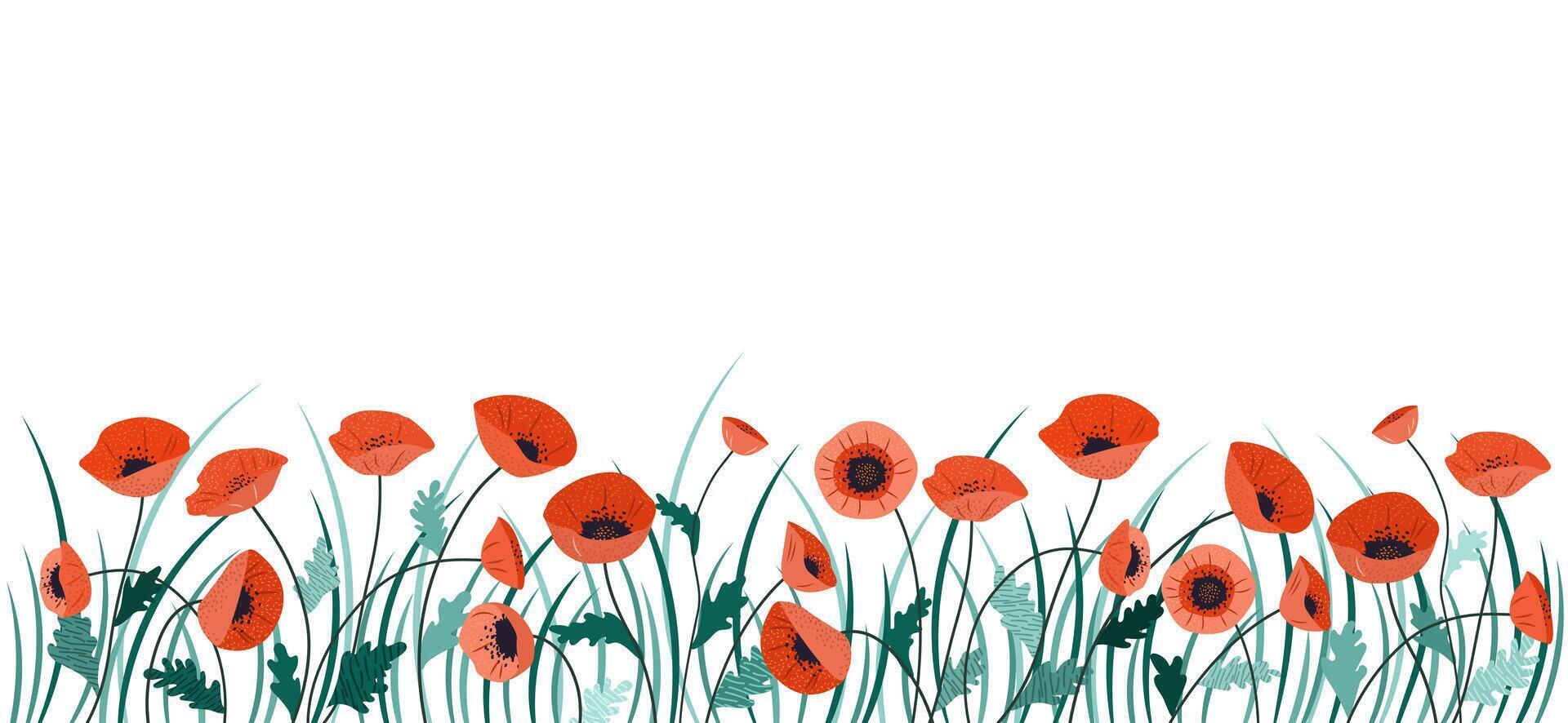 Horizontal cartoon banner with gorgeous multicolored blooming flowers, leaves border. Spring or summer botanical illustration with different poppy flowers on white background with empty space. vector