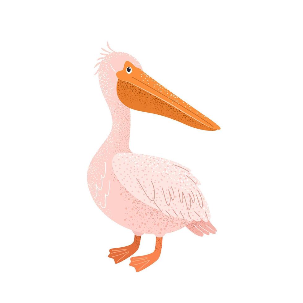 Cute cartoon pelican for childish prints. Textured hand drawn clip art isolated on a white background. A funny bird for kids. vector