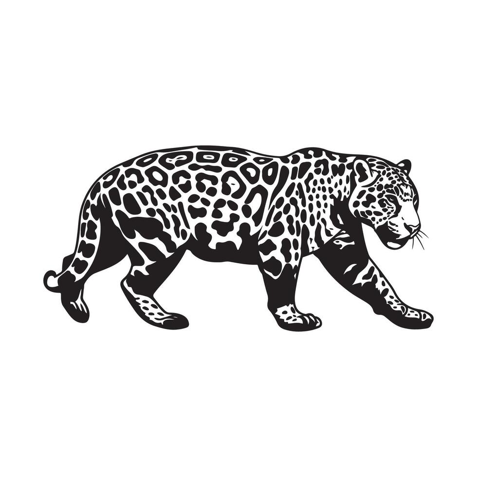 Leopard Walking Images. Leopard walking graphics hatching stock image vector