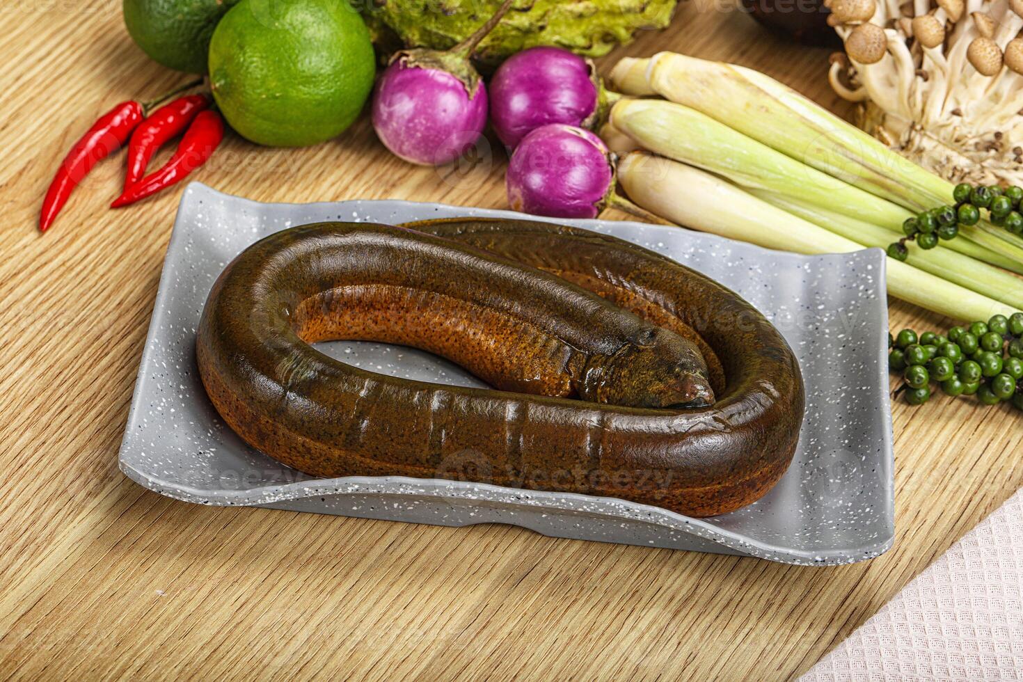 Fresh raw uncooked eel for grill photo