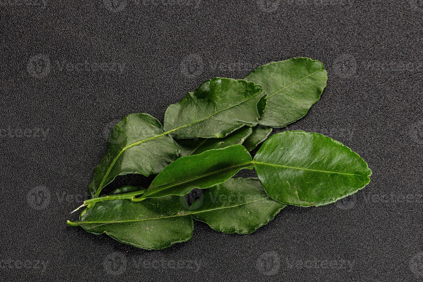 Aroma seasoning kaffir lime leaves photo