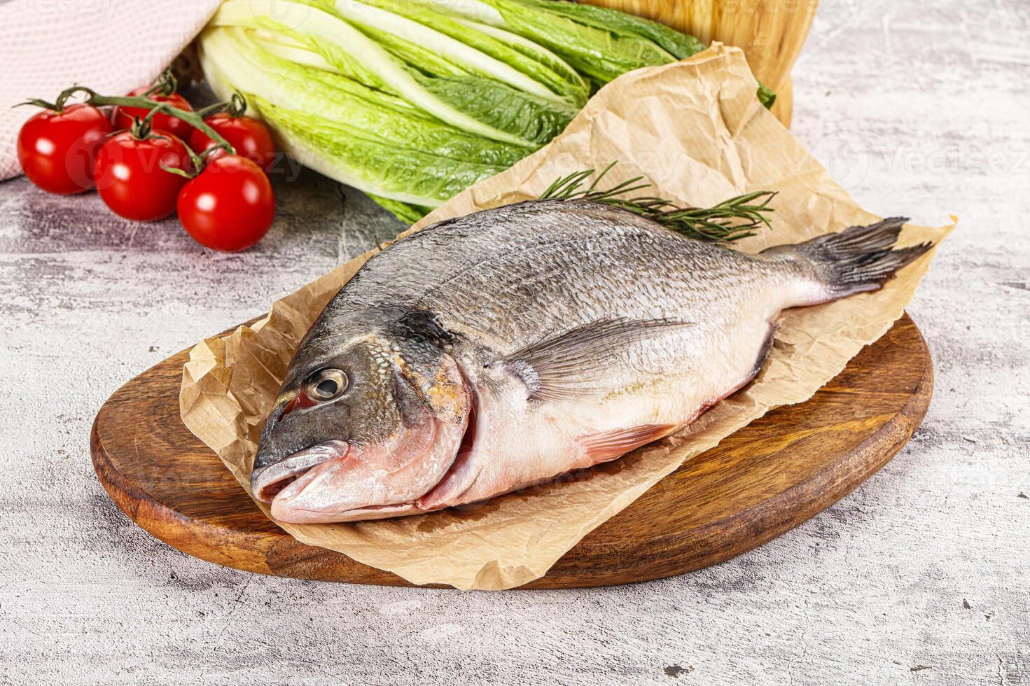 Raw dorada fish served rosemary photo