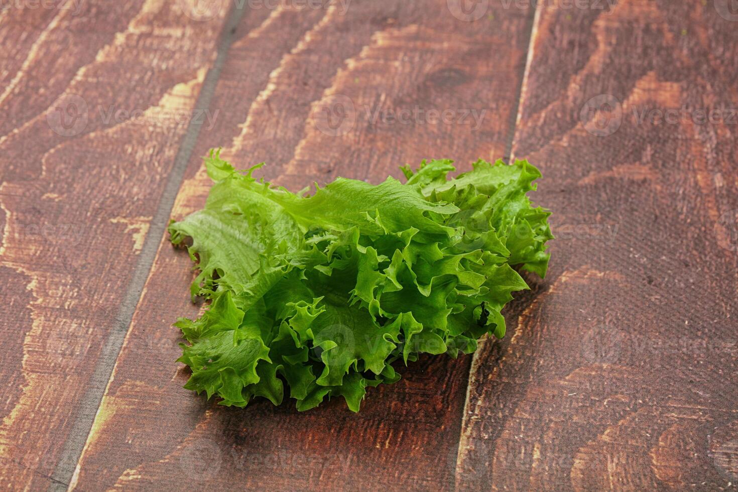 Juicy fresh green frilis salad photo