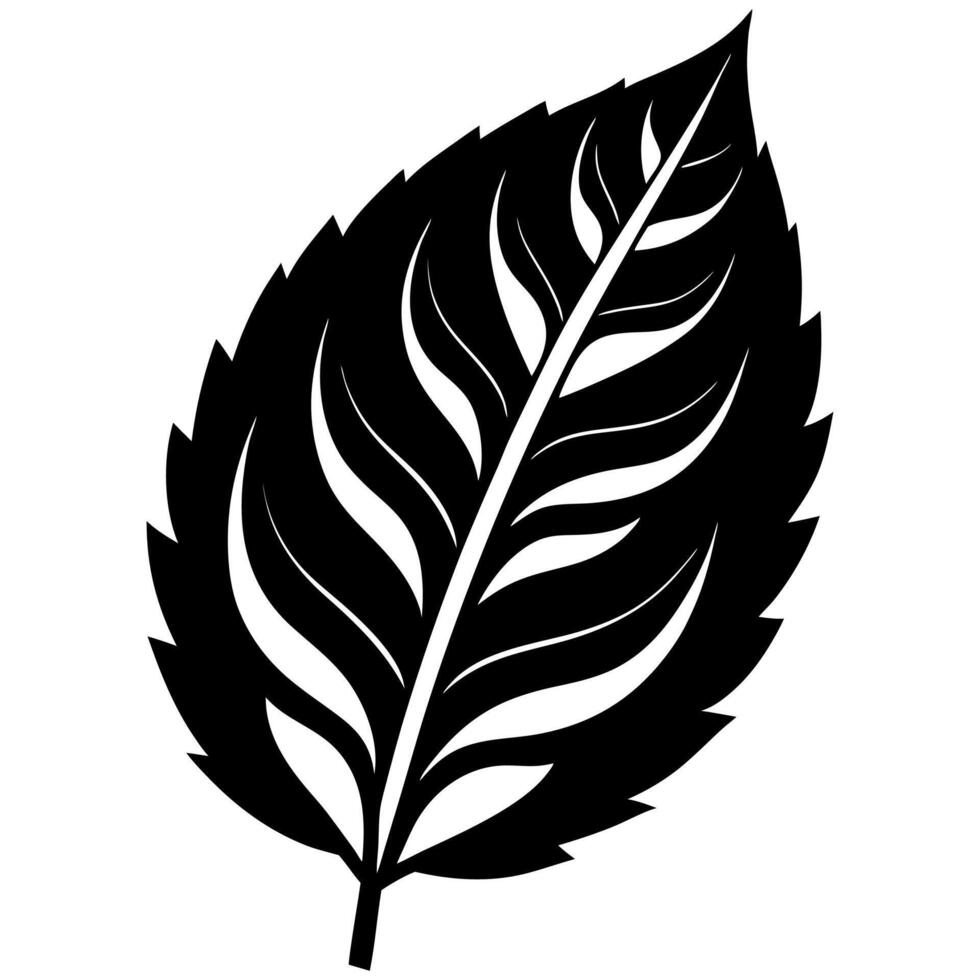 A black and white leaf silhouette on a white background vector