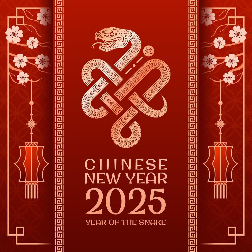 The design for the celebration of the Chinese New Year in the year of 2025 is vibrant and inviting. For advertising, website, poster, sale flyer. A serpent coils elegantly forms an Infinity Knot vector