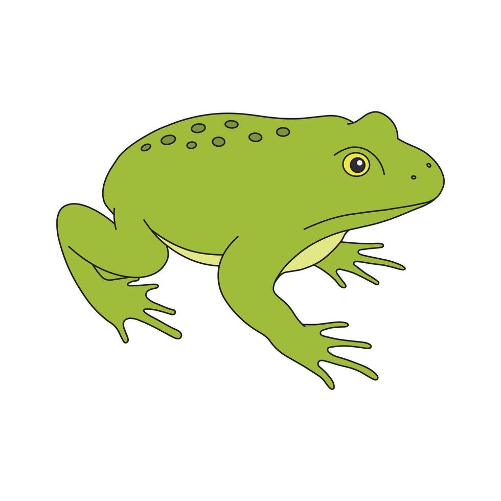 kids drawing illustration green frog flat cartoon isolated vector