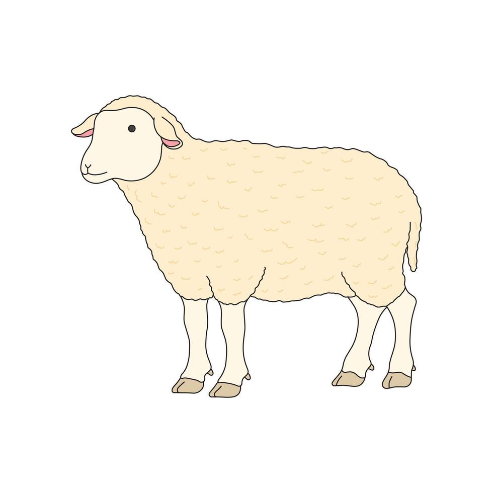 kids drawing illustration sheep flat cartoon isolated vector