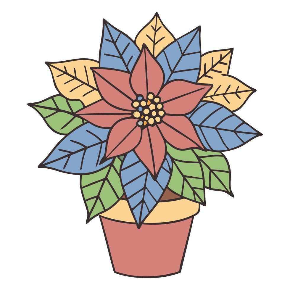 Colorful poinsettia in a pot with geometric leaf vector