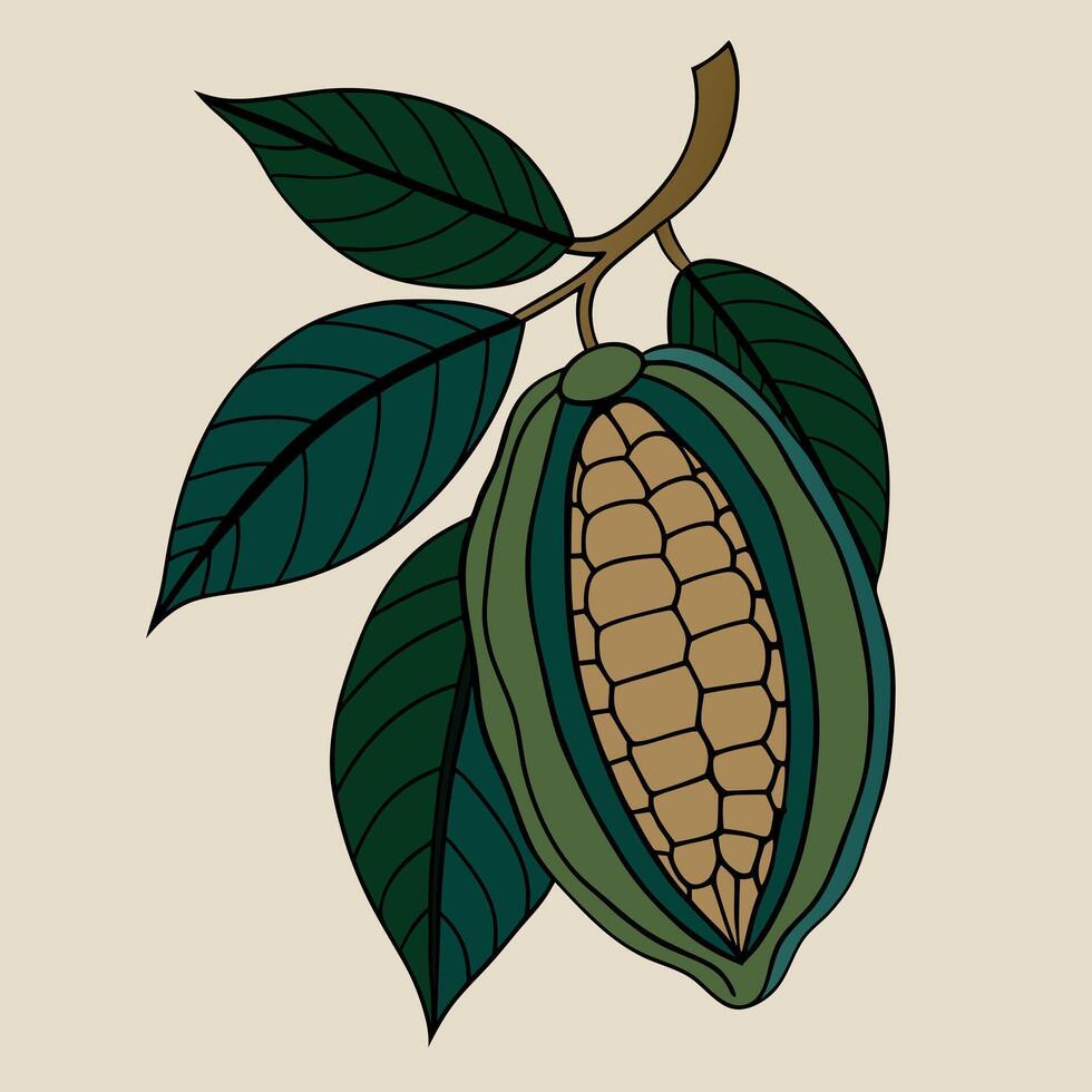Minimalist cacao pod with leaves art in earthy tones vector