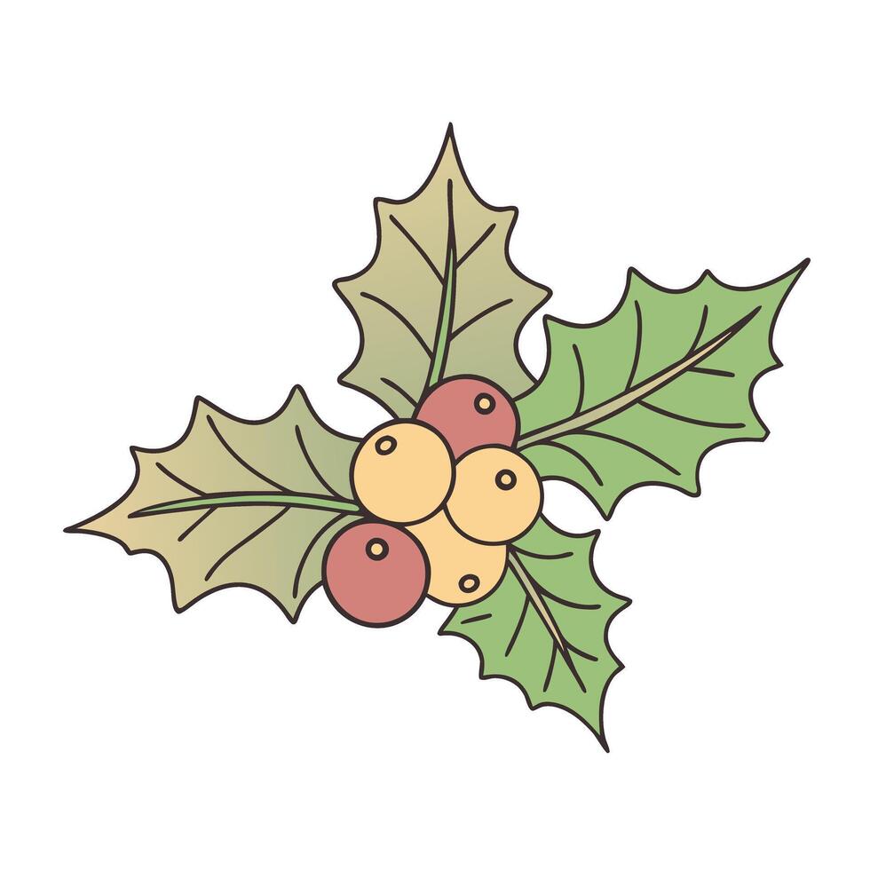 Holly berry mistletoe illustration with green and red leaves in a flat style vector