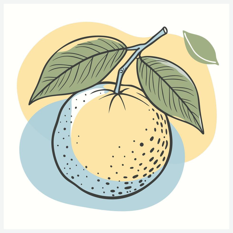 An orange with leaves and a leaf on it vector