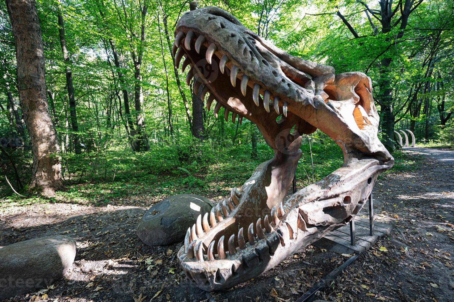 Giant dinosaur skull in a forest setting on a sunny day photo