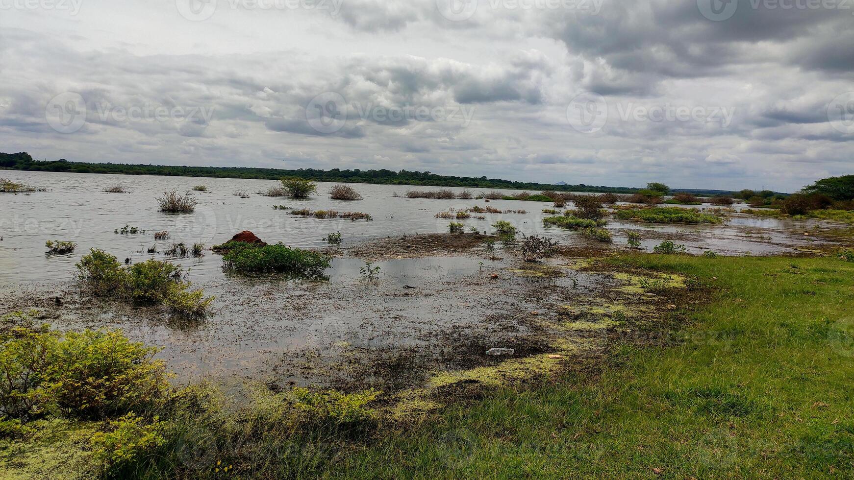 Serene lake landscape with cloudy sky, lush greenery, and plastic debris. Shoreline lined with tall grasses, trees. Peaceful, tranquil atmosphere marred by plastic pollution. photo