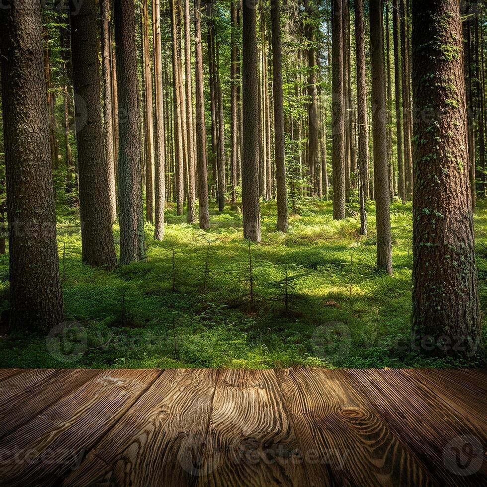 Wooden floor in the forest with sunlight photo