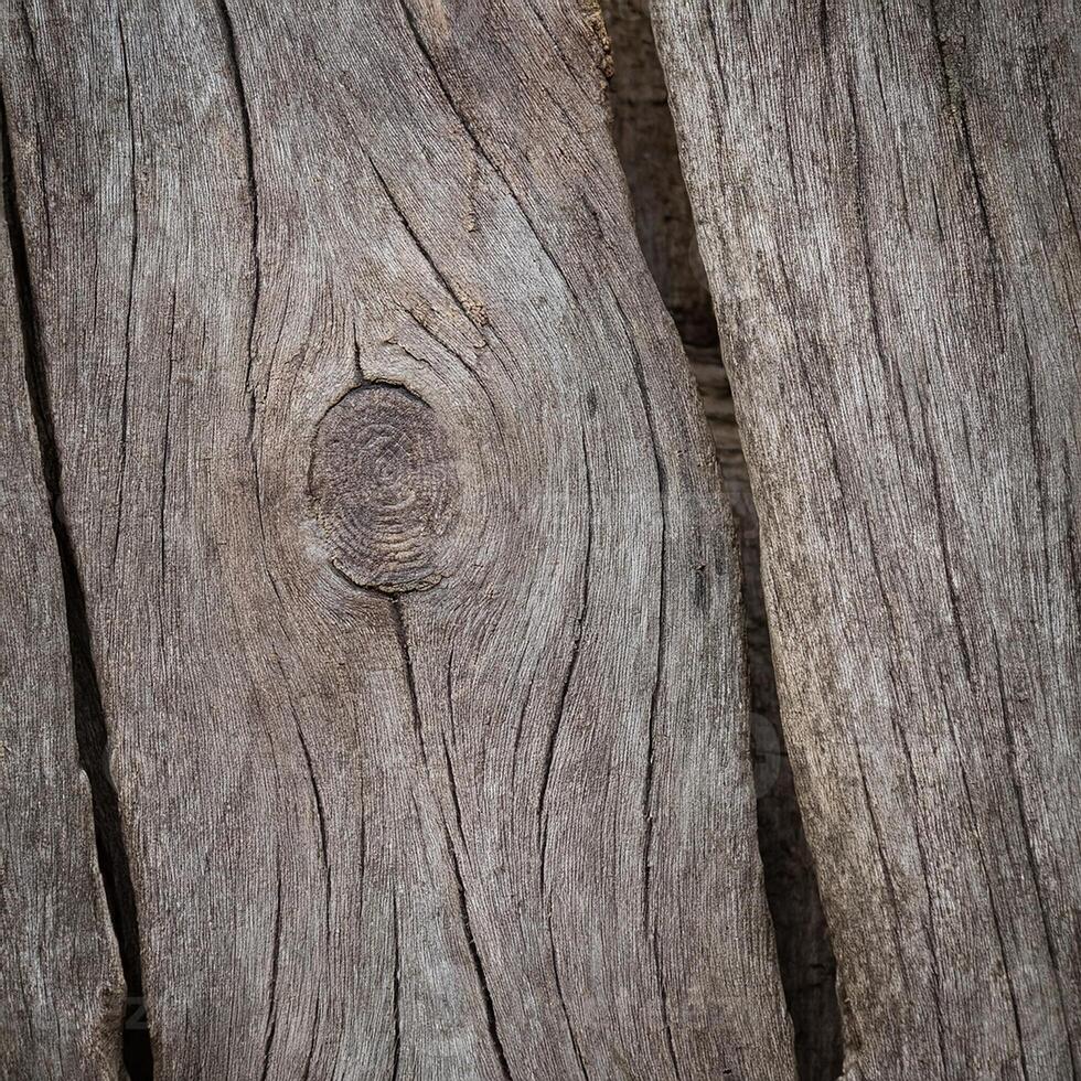 Close up of a wood panel with a hole in it photo