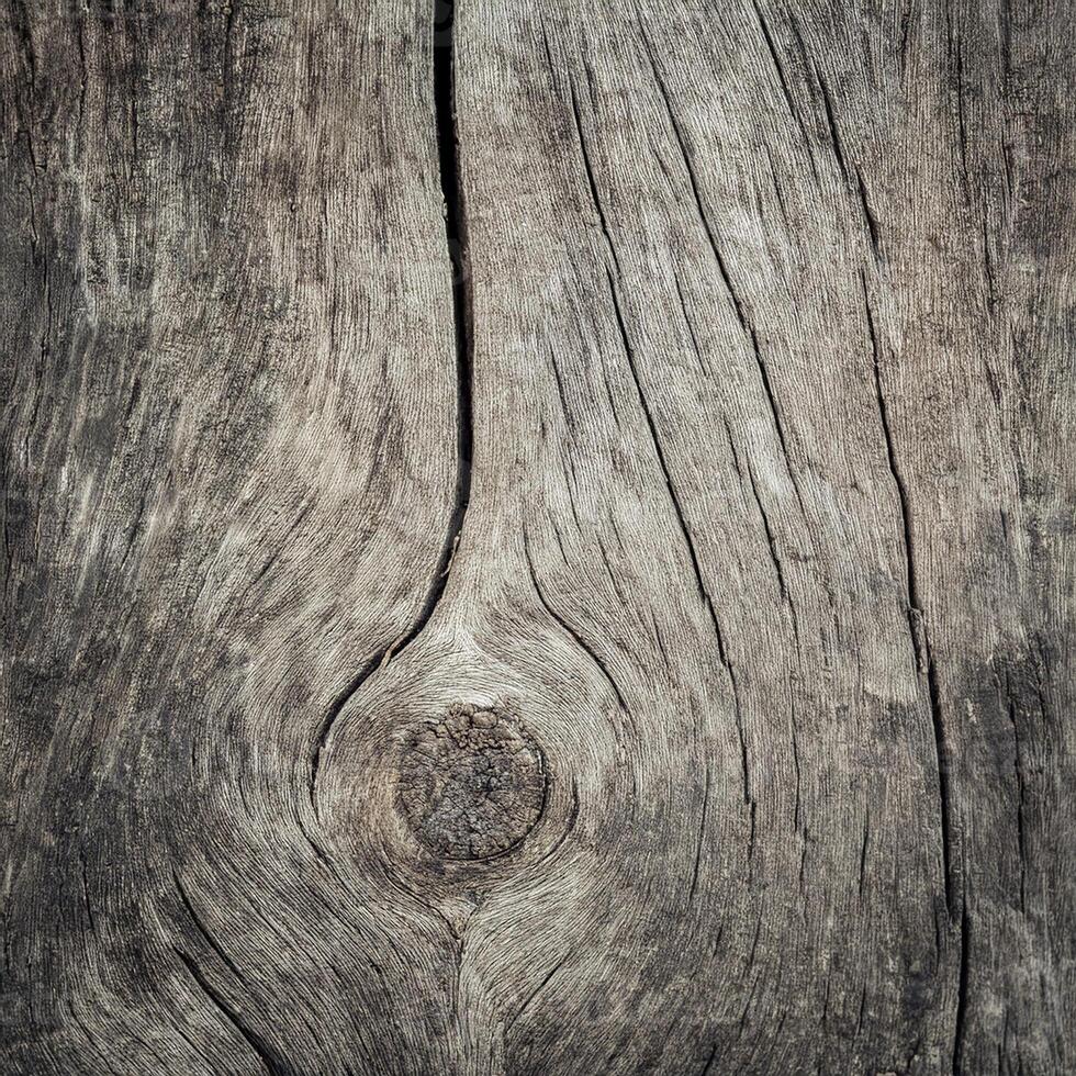An old wood texture with a knot in the middle photo