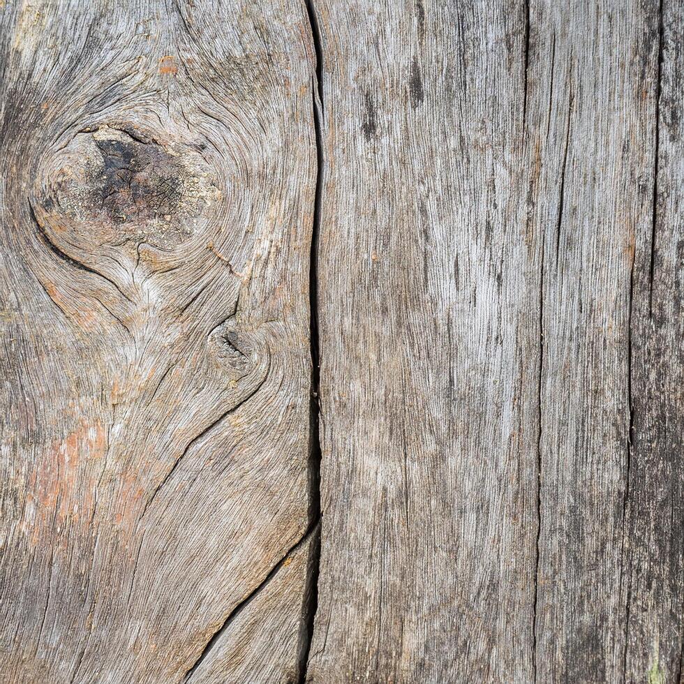 A close up of a wooden wall with a hole in it photo