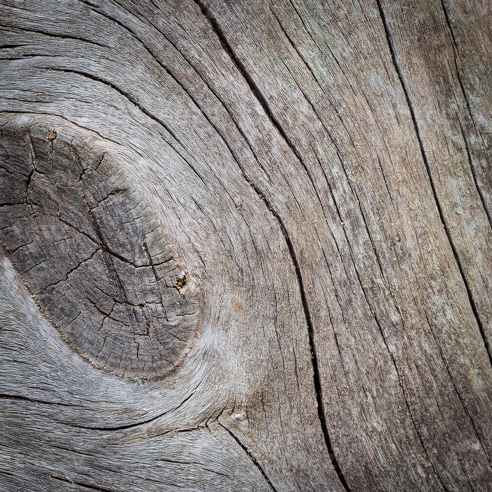 A close up of a wood texture with a circular hole photo