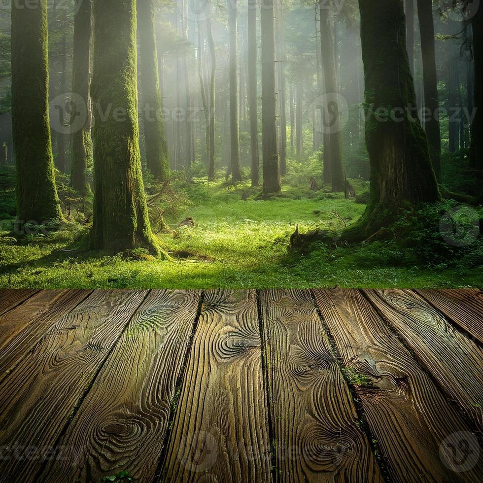 Wooden floor in the forest with sunlight photo