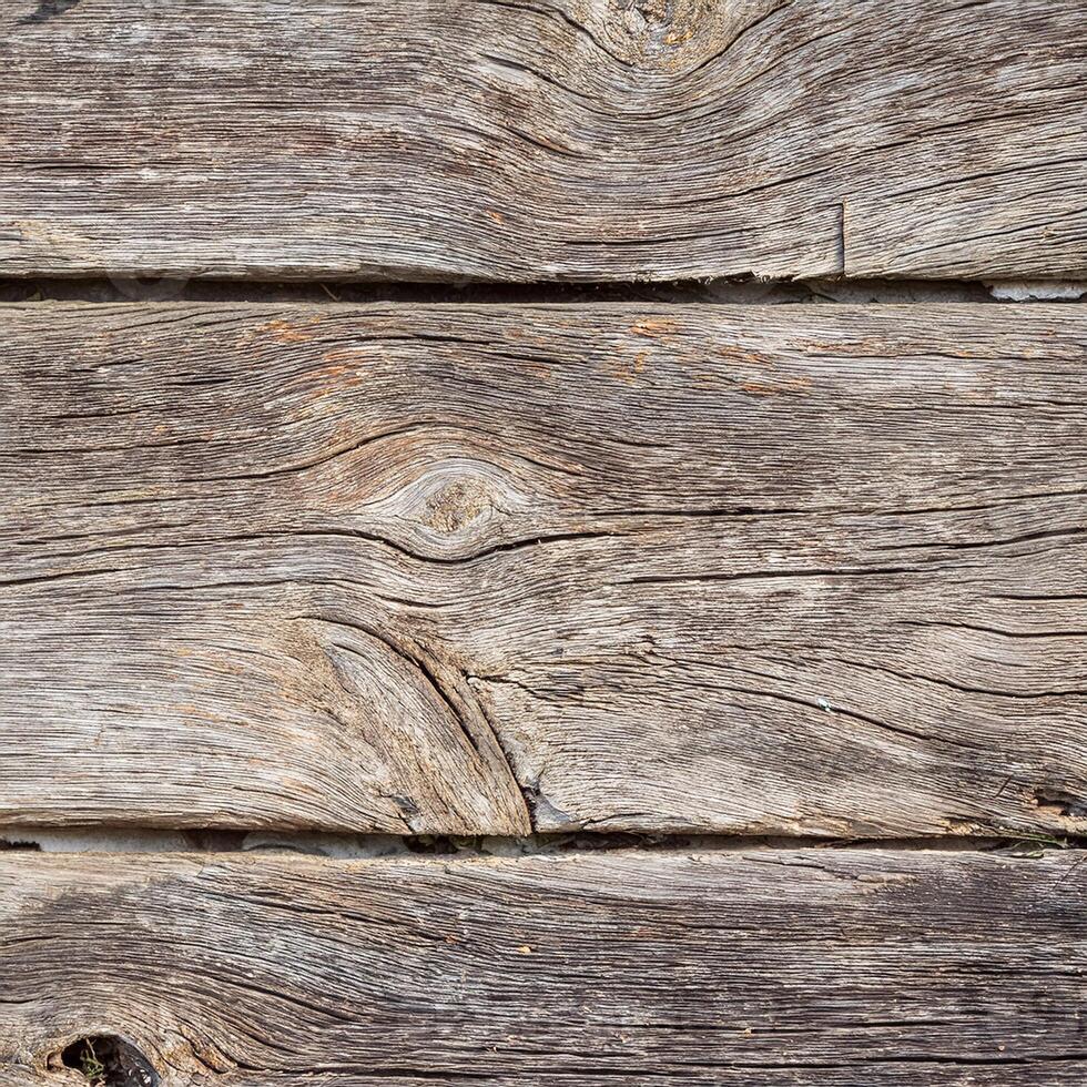 A close up of a wooden wall with a bird on it photo