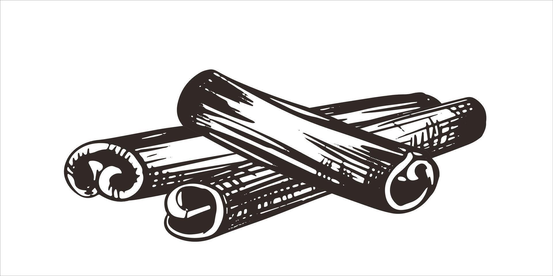 Sketch of cinnamon sticks. Dried Cinnamomum bark in woodcut style. Ink drawing of the aromatic spice. vector