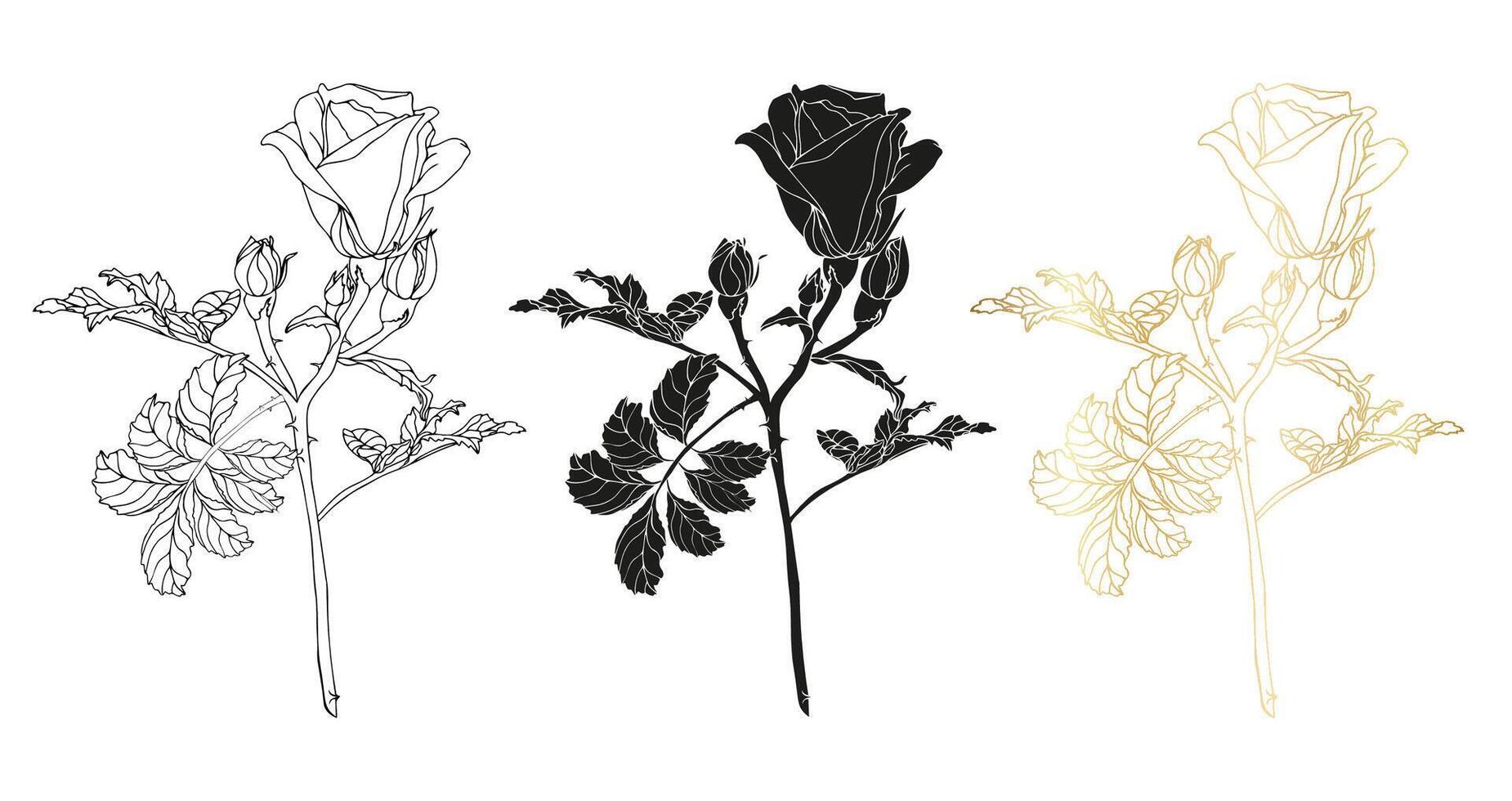 Wild roses set hand drawn flowers vector