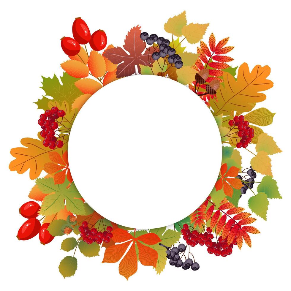 round frame for banner with autumn leaves and fruits vector