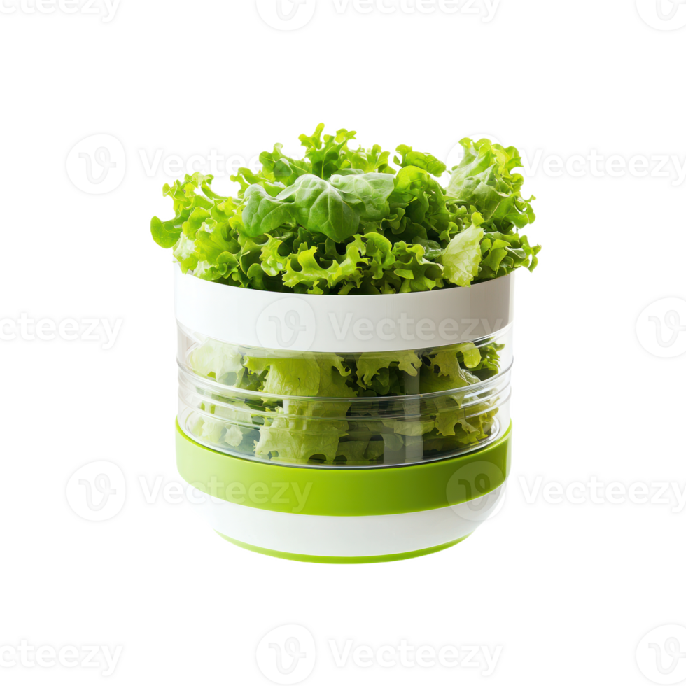 Salad Spinner isolate transparency background png
