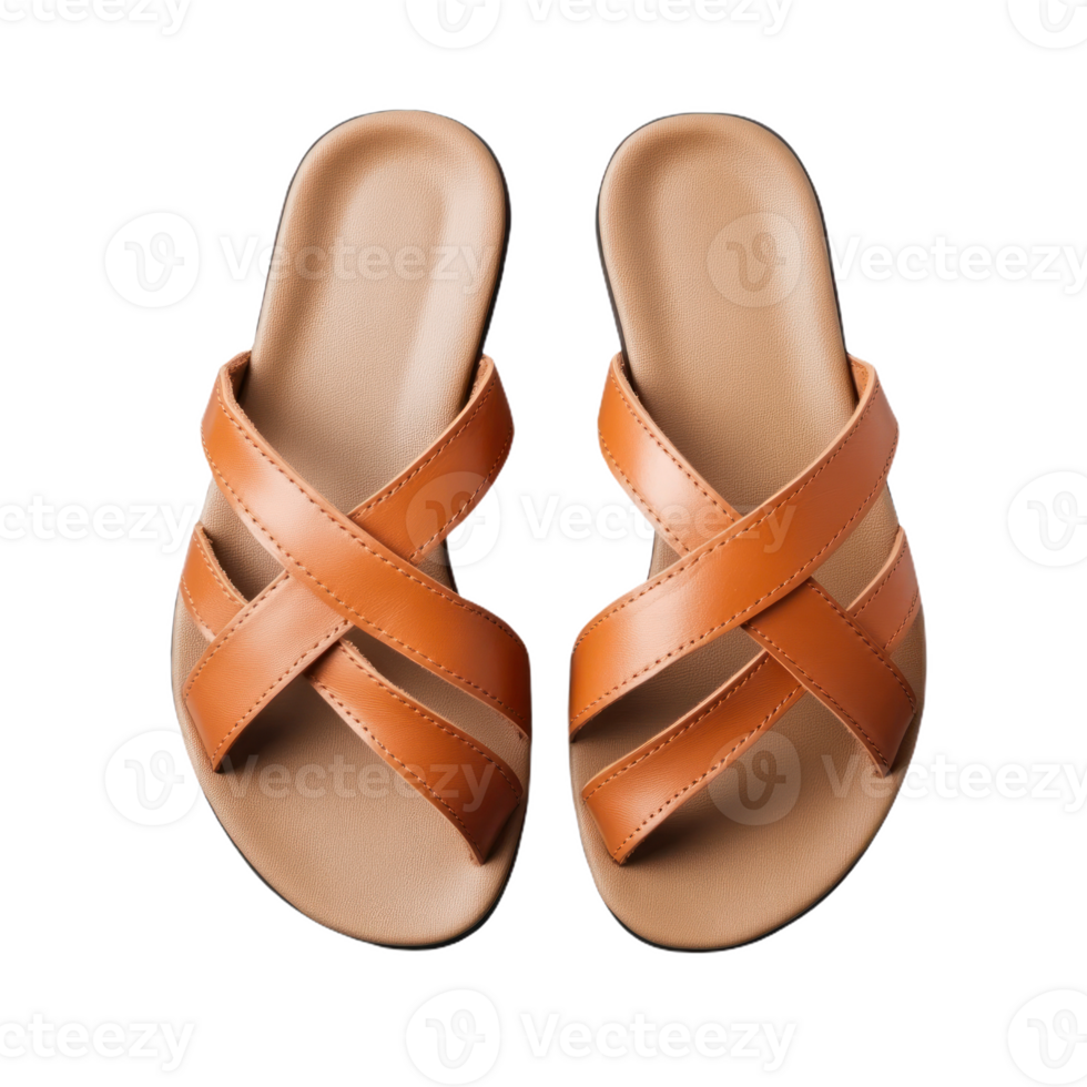 Flat Sandals isolate transparency background png