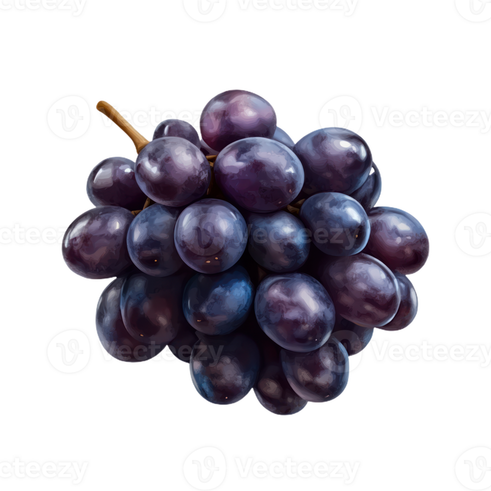 Bunch of Grapes isolate transparency background png