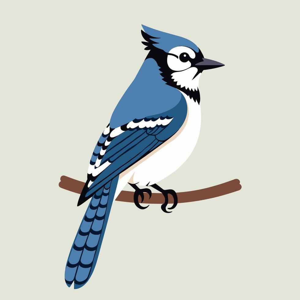 Colorful illustration of a blue jay perched on a branch. vector