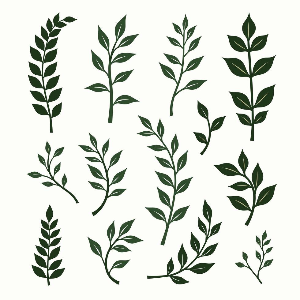 A collection of various green leafy plant branches on a light background. vector