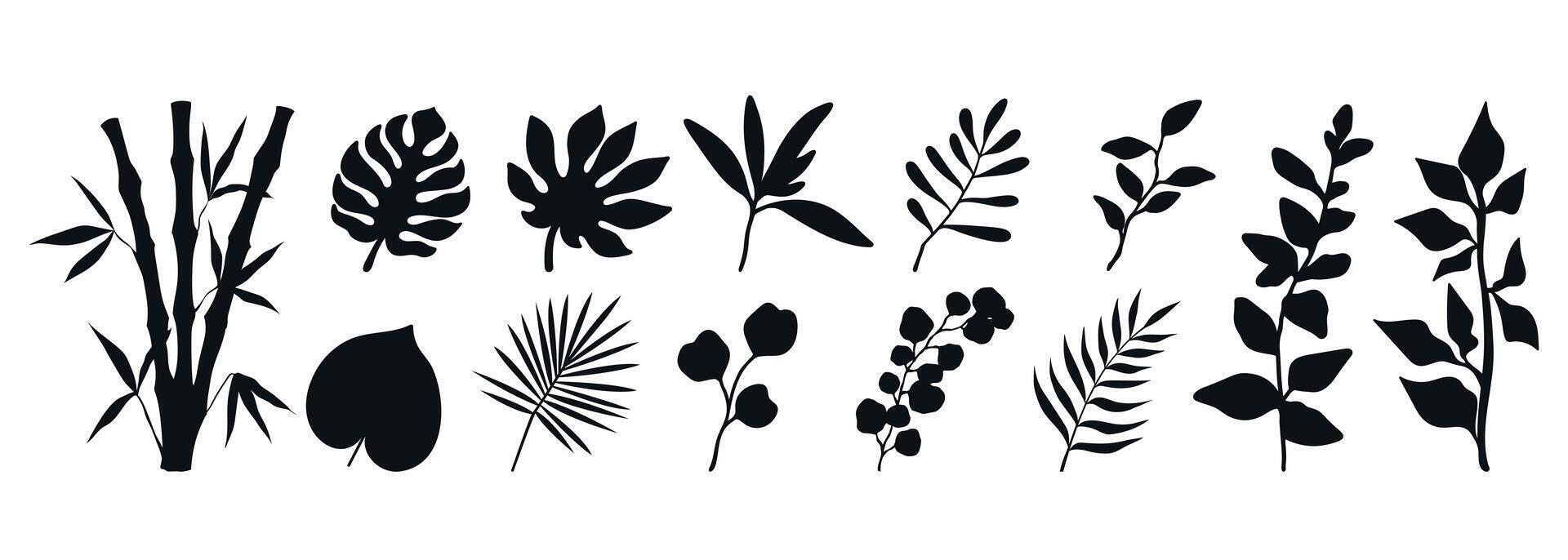 Set of various plants silhouettes. Branches, leaves and botanical elements isolated on white background vector