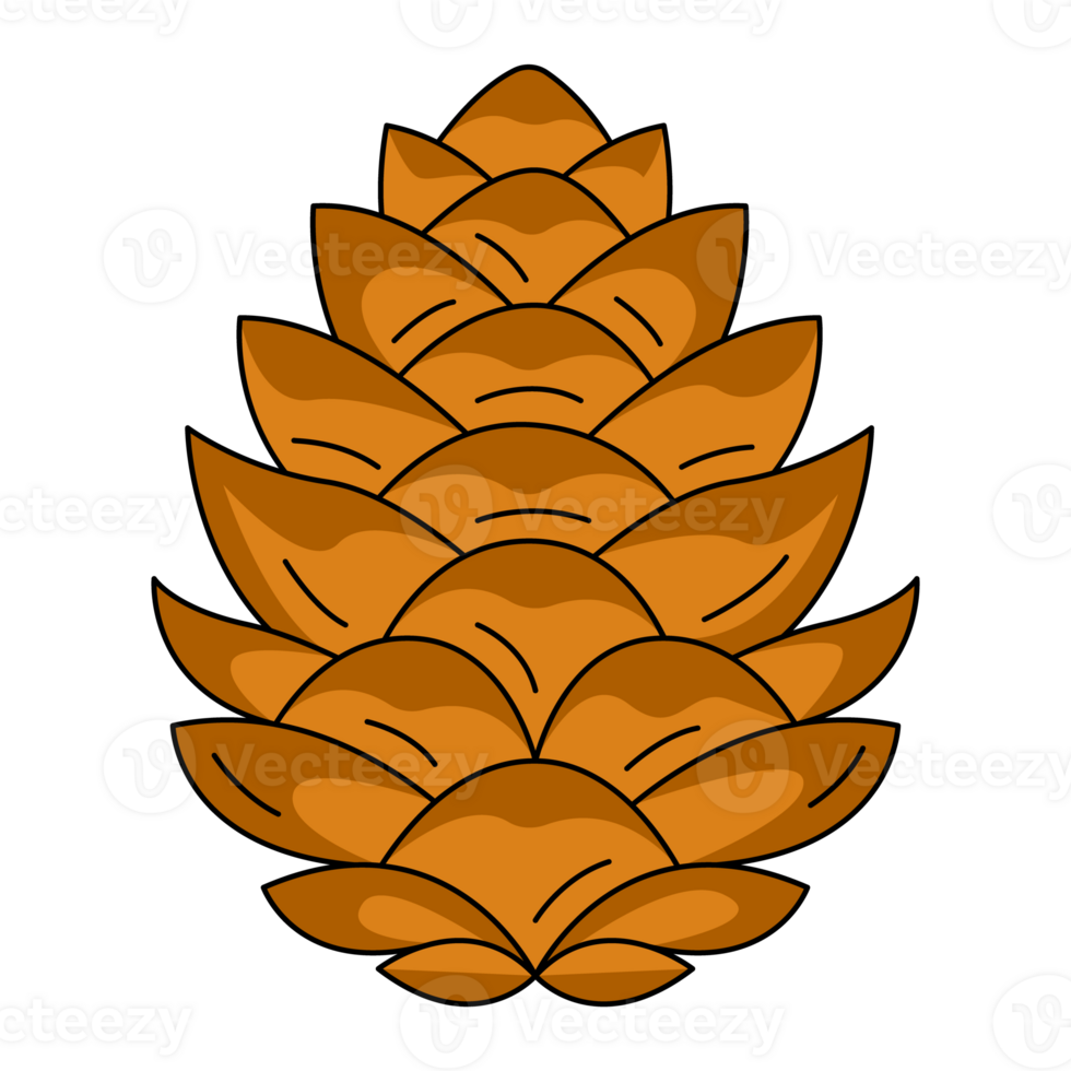 Pine or fir cone, forest tree fruit. Botanical flat outline simple element, color illustration. For logo, sticker, print, web design, scrapbooking png