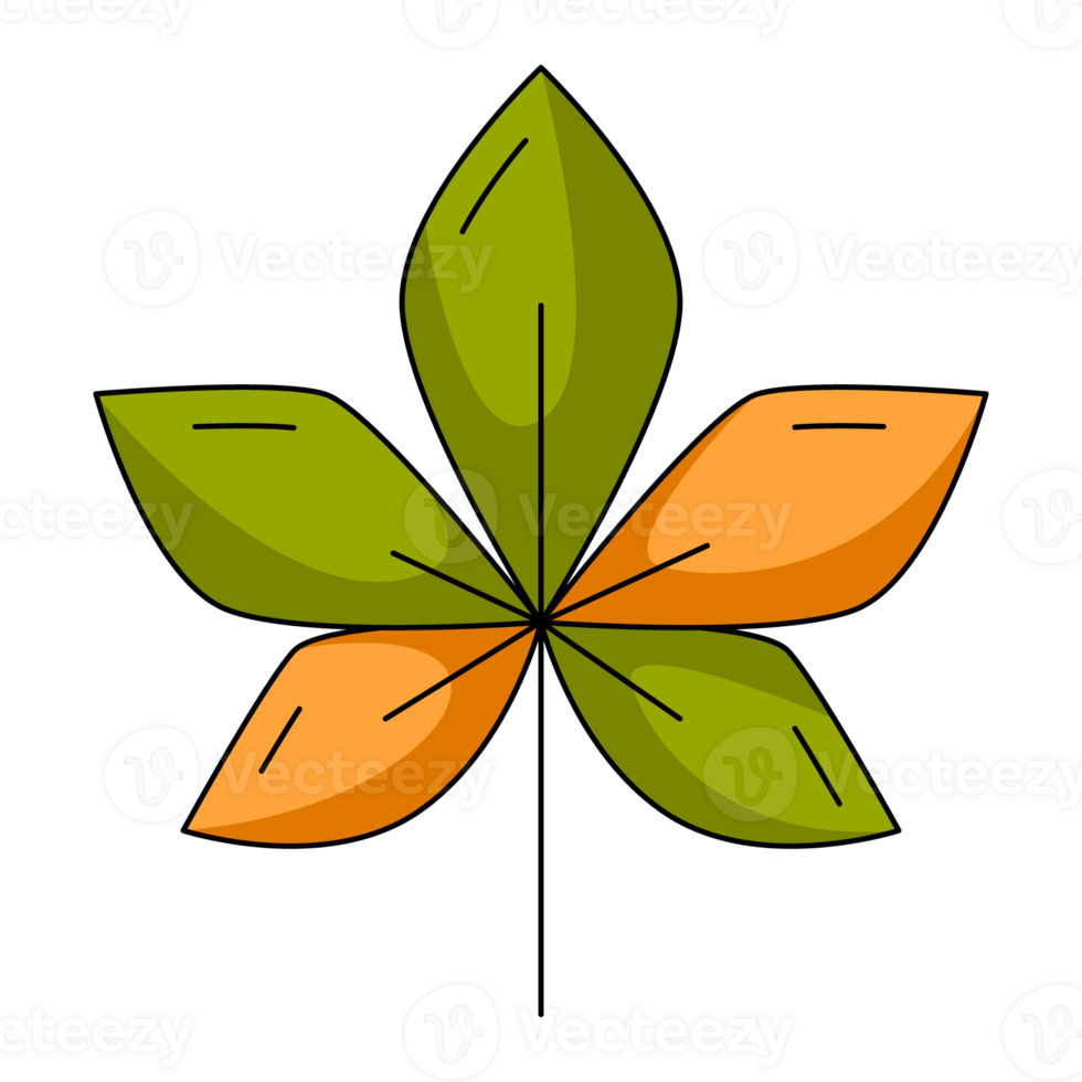 Autumn green and orange chestnut leaf. Fall seasonal concept. Flat simple element, color illustration. For logo, sticker, print, web design, scrapbooking png