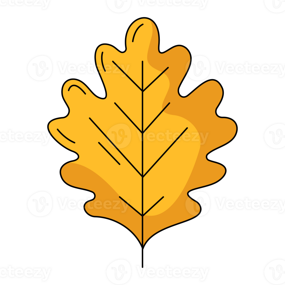 Autumn yellow oak leaf. Fall seasonal concept. Flat simple element, color illustration. For logo, sticker, print, web design, scrapbooking png