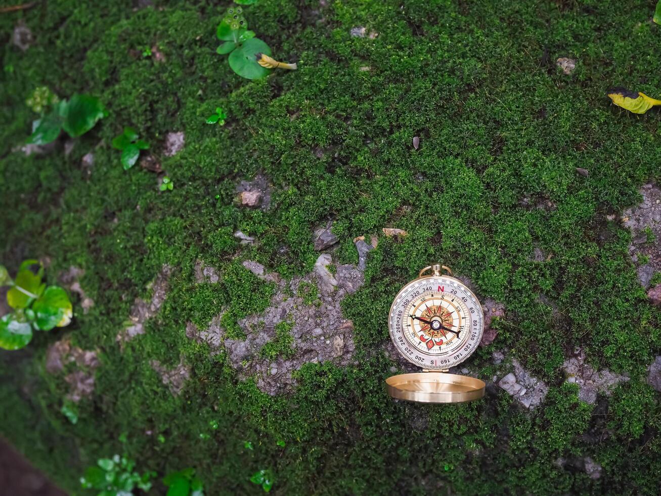 Compass on the rock with green moss background. The concept of world tourism day, Searching the right directions and Travel photo