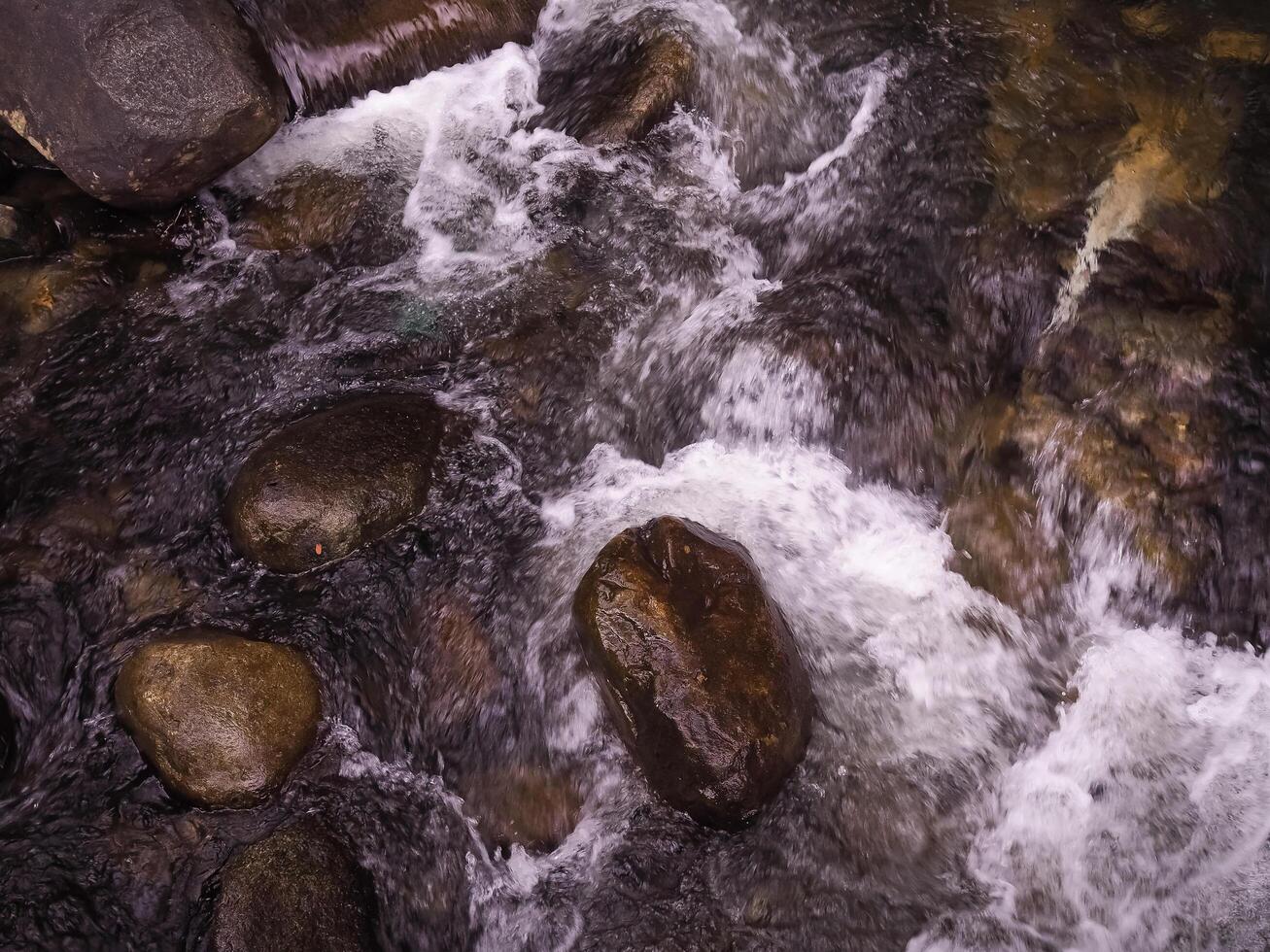 The stream flowing through the rocks in forest. photo