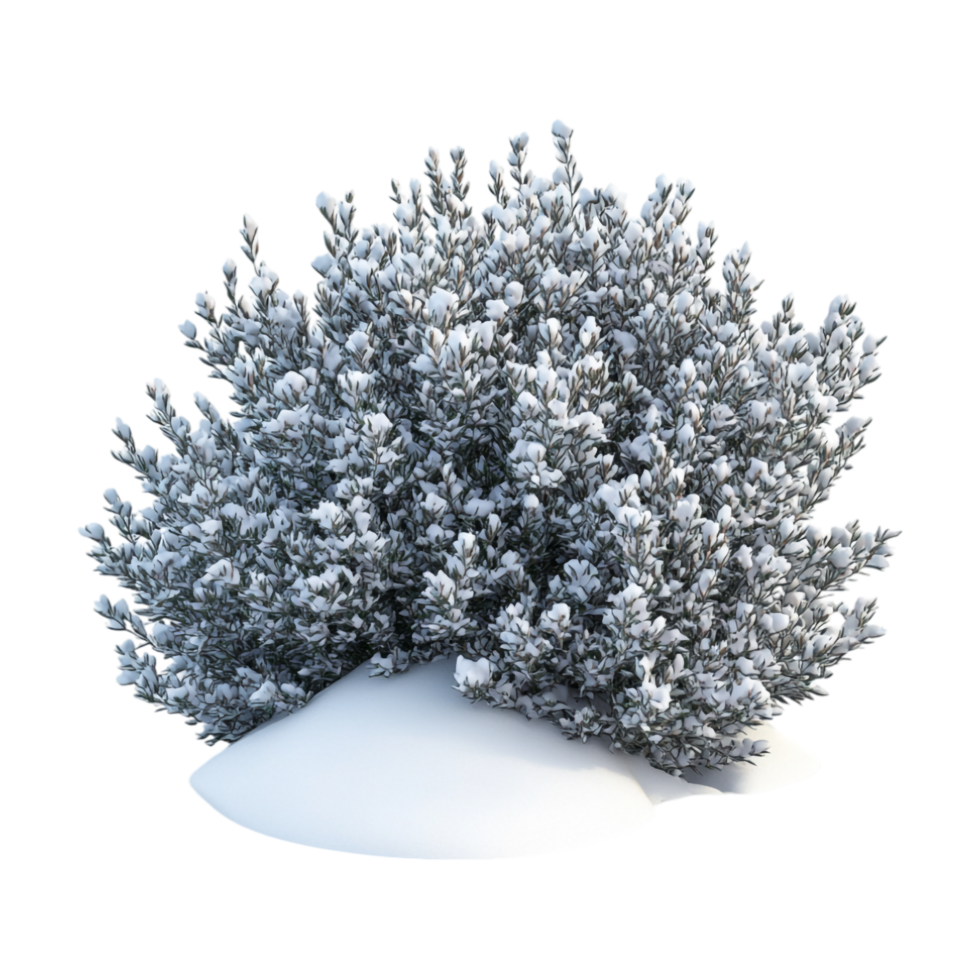A bush with snow on it is shown png