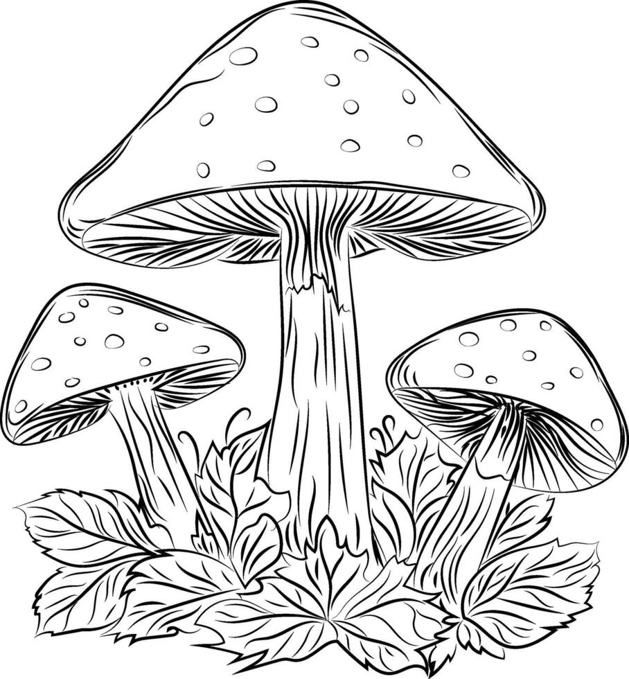 Mushrooms. Autumn. Fly agarics. Coloring. Line art. vector