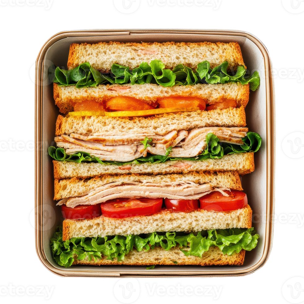Sandwich in a container with lettuce, tomato and cheese png
