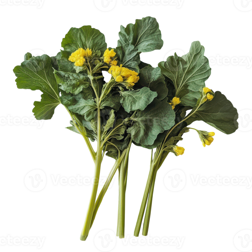 A bunch of green leaves with yellow flowers png