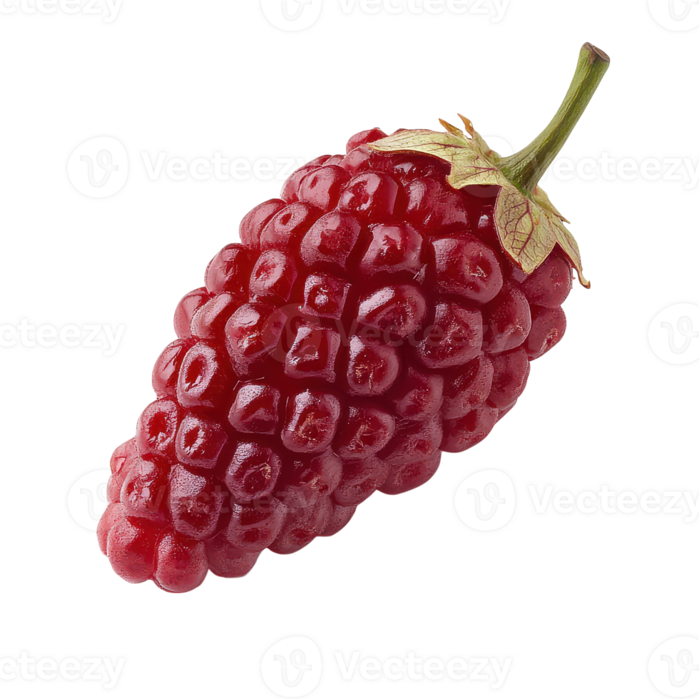 A single raspberry on a black background png