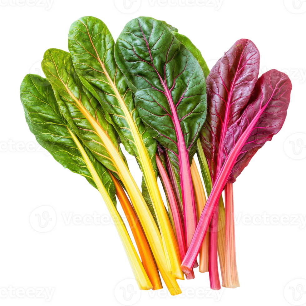 Swiss chard, red, yellow, green, and purple png