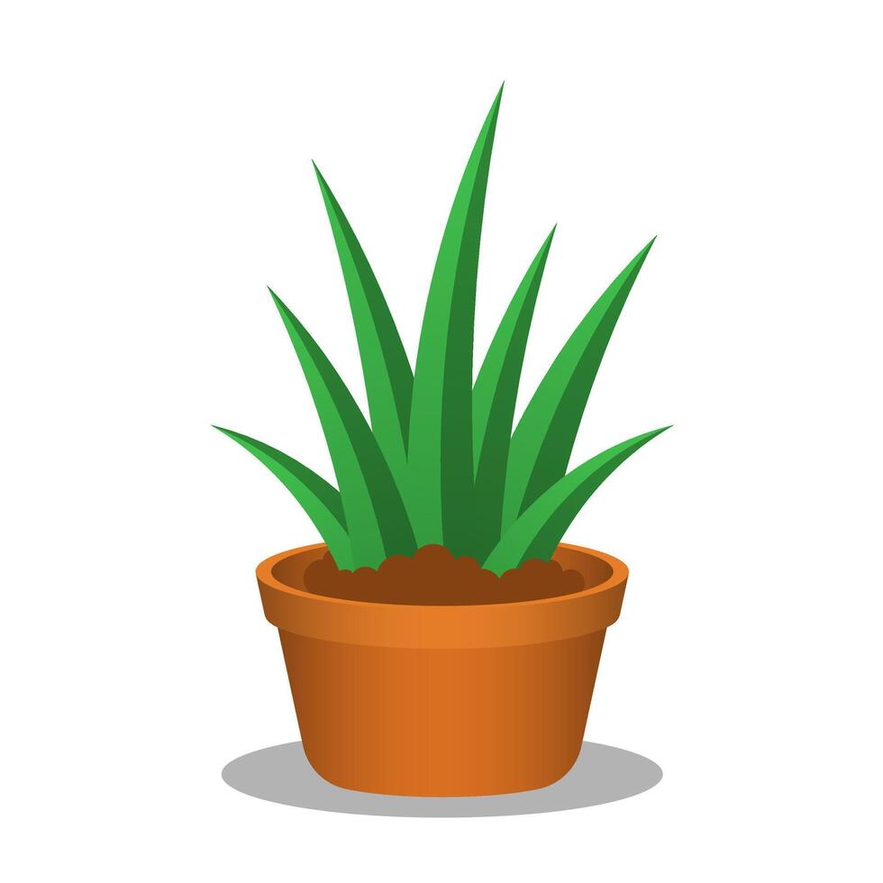 Decorative green plant with long leaves in ceramic vector