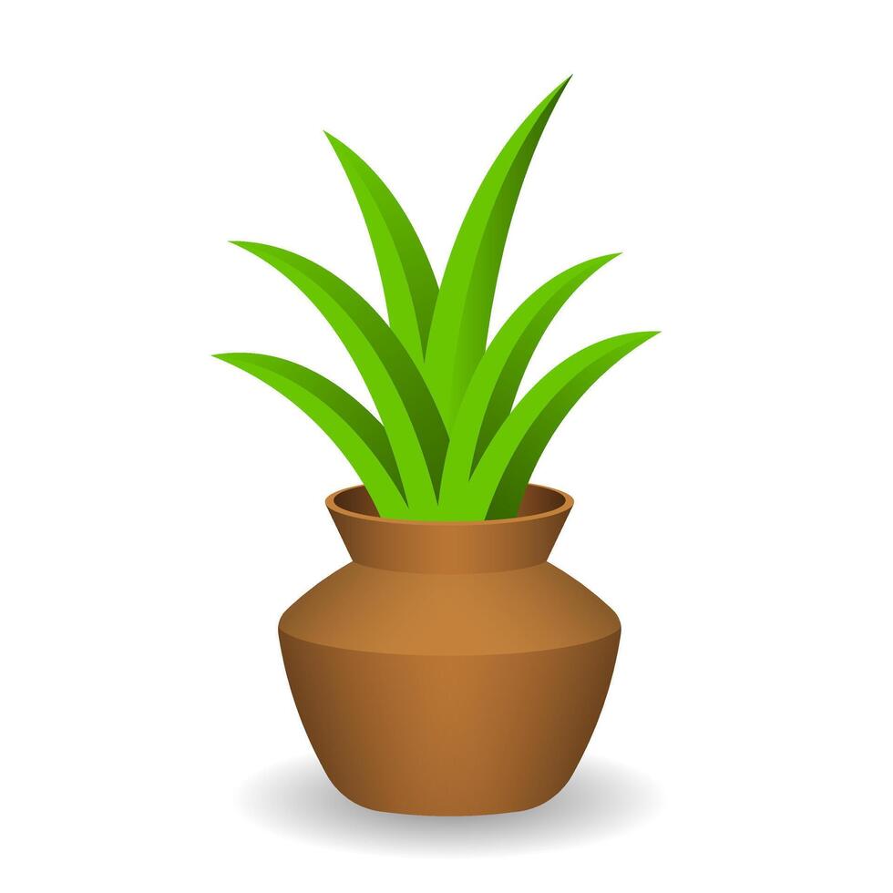 Decorative green plant with long leaves in ceramic vector